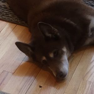 Meet your Posher, Marielle